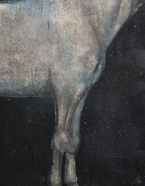 Horse | Framed Giclee Print on Canvas